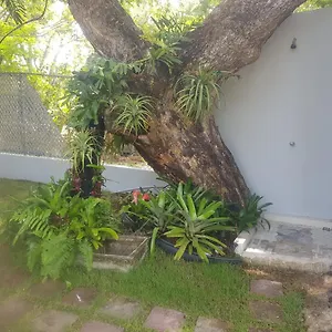 Always Summer Puerto Rico